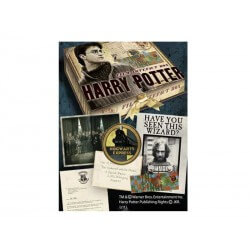 Figurine - Harry Potter - Boite d'artefacts Harry Potter