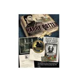 Figurine - Harry Potter - Boite d'artefacts Harry Potter