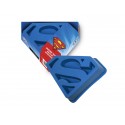 Moule Silicone DC Universe - Superman Logo