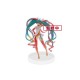 Figurine Vocaloid - Hatsune Miku Racing 2016 18cm
