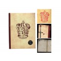 Notebook Harry Potter - Griffondor Lumineux 