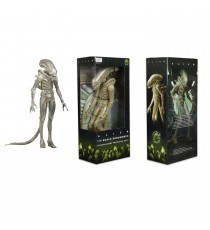 Figurine Aliens - Xenomorph Translucent Prototype Suit Concept 45cm