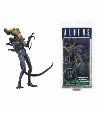 Figurine Aliens - Alien Blue Warrior Battle Damage 18cm