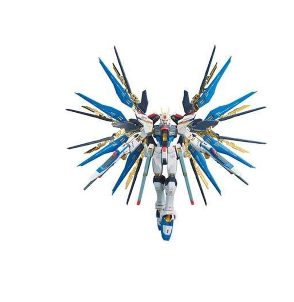 Maquette Gundam - Strike Freedom Gundam RG 14 1/144 13cm