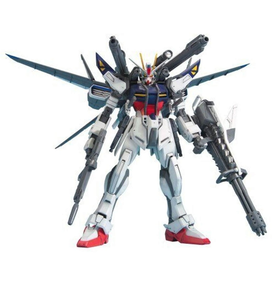 Maquette Gundam - Strike E + Iwsp Astrays Lukas O'Donnell Custom Gunpla MG 1/100 18cm