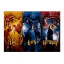 Puzzle Harry Potter - Harry Ron Hermione 1000Pcs