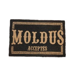 Paillasson Harry Potter - Moldus Acceptés 40x60cm