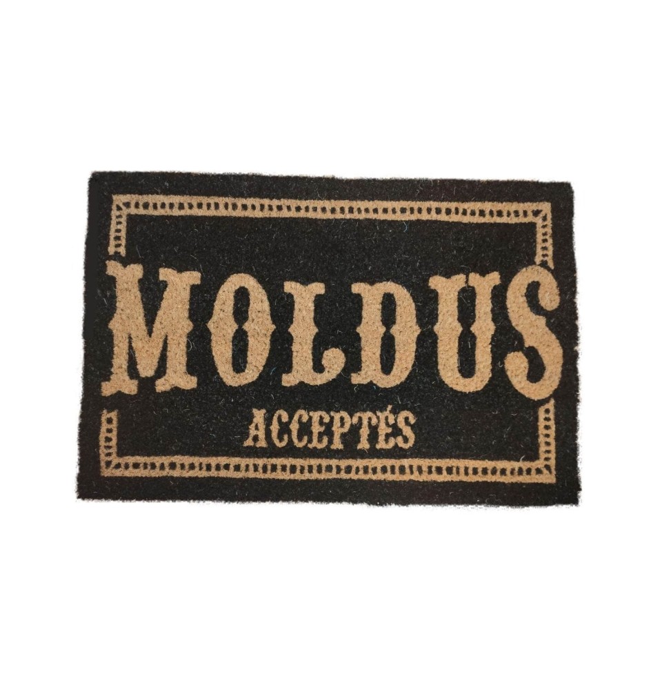 Paillasson Harry Potter - Moldus Acceptés 40x60cm