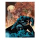 Puzzle Dc Universe - Batman Catwoman 1000Pcs