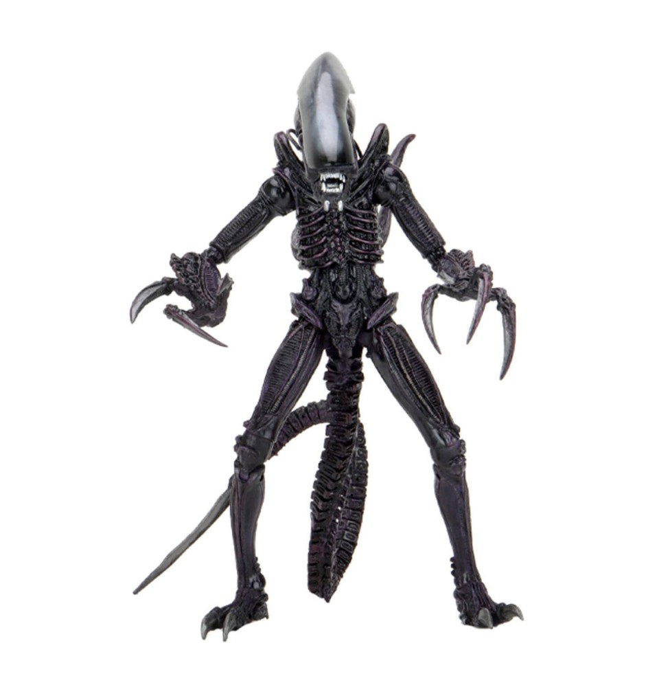 Figurine Alien VS Predator - Razor Claws Alien 18cm