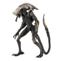 Figurine Alien VS Predator - Chrysalis Alien 18cm