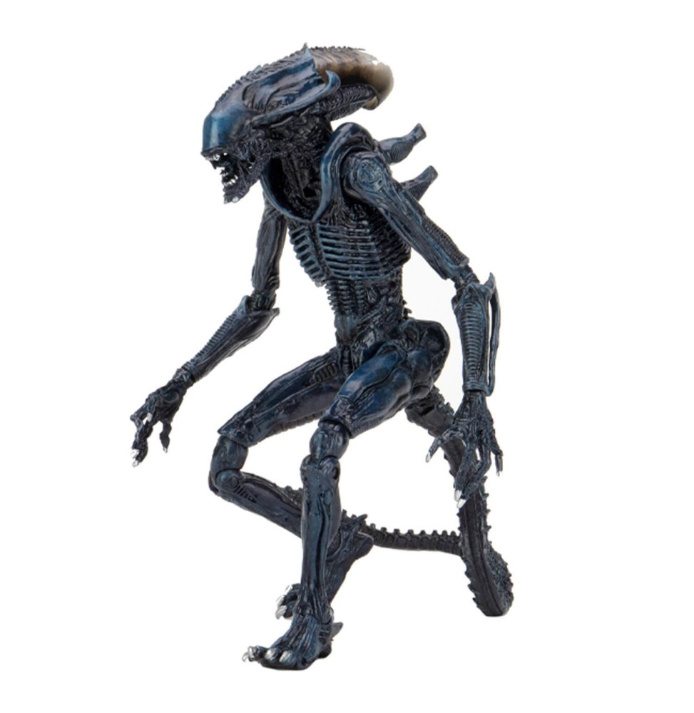 Figurine Alien VS Predator - Arachnoid Alien 18cm