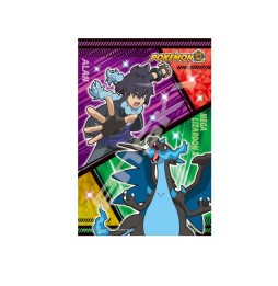 Puzzle Pokemon - Alan & Mega Lizardon / Dracaufeu X 300 Pcs