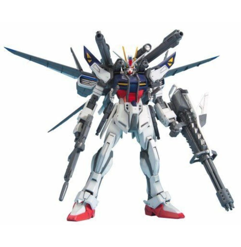 Maquette Gundam - Strike E + Iwsp Astrays Lukas O'Donnell Custom Gunpla MG 1/100 18cm