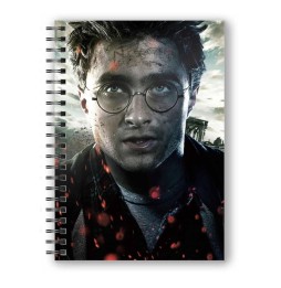 Cahier Harry Potter - 3D Effect Harry