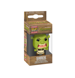 Figurine Shrek 30Th Anniv - Scary Shrek Pocket Pop 4cm
