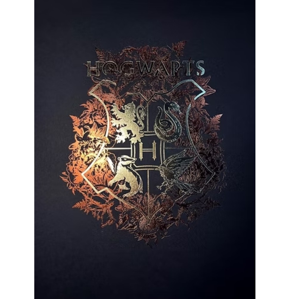 Harry Potter Artprint - Poudlard (Letterpress 30 x 40) Harry Potter Artprint - Poudlard (Letterpress 30 x 40)