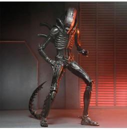 Funko Pop ! Alien – Xénomorphe XX121 (Ultimate) 18 cm